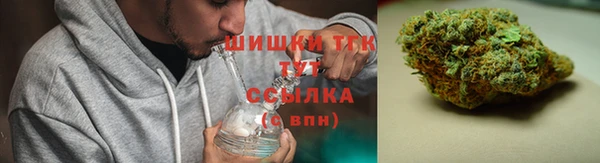 скорость Вяземский