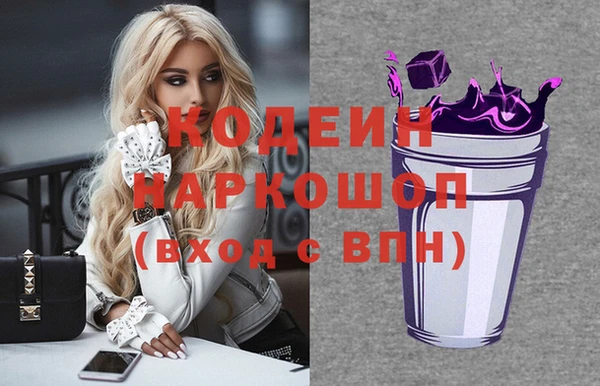 шишки Верхний Тагил