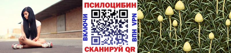МЕГА ONION  Вилючинск  Галлюциногенные грибы Magic Shrooms 
